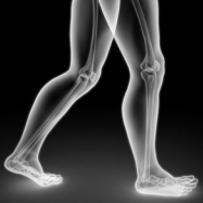 Biomechanical and injury assessments provided in the clinic or at home